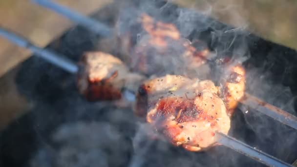 Parrilla de barbacoa con fuego en la naturaleza, al aire libre — Vídeos de Stock