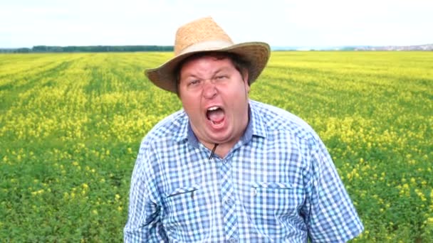 農夫は野原に立って、晴れた日に帽子で、恐怖や悪で叫ぶ — ストック動画