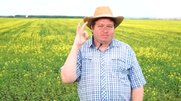 Boer staande in veld en toont teken van Oke, draag cowboy hoed op een zonnige dag — Stockvideo