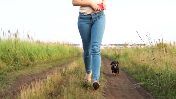 Cão pequeno ao lado de uma mulher feliz correndo pela estrada de terra ao ar livre, câmera lenta — Vídeo de Stock