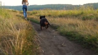 Dachshund köpek yol boyunca çalışan bir kız ile yakalar