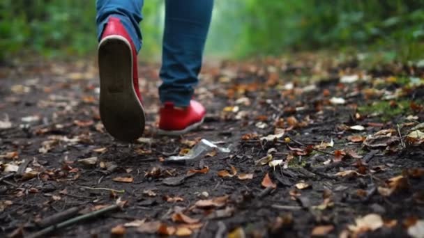 Female feet in red sneakers walking through autumn forest, in the nature over a ground covered with dry fallen leaves — Stock Video