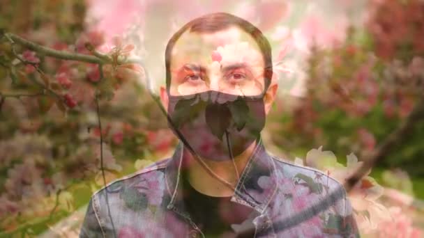 A fekete orvosi maszkot viselő férfi befedő hatása a rózsaszín virágfára — Stock videók
