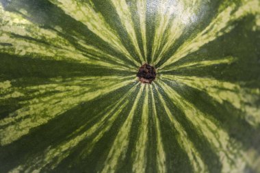 İzole dilim karpuz. En büyük berry.