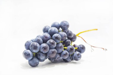 Beyaz arka plan üzerinde izole ham kara üzüm. Sonbahar soyutlamalar. Makro fotoğraf.