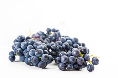 Beyaz arka plan üzerinde izole ham kara üzüm. Sonbahar soyutlamalar. Makro fotoğraf.