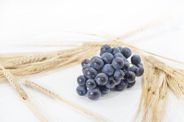 Beyaz arka plan üzerinde izole ham kara üzüm. Sonbahar soyutlamalar. Makro fotoğraf.