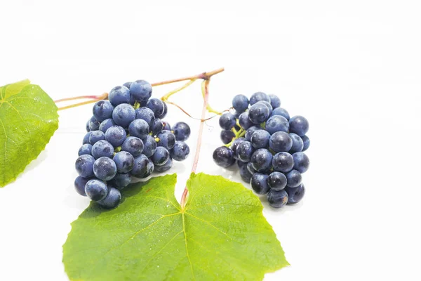 Uvas Negras Crudas Aisladas Sobre Fondo Blanco Abstracciones Otoño Macro — Foto de Stock