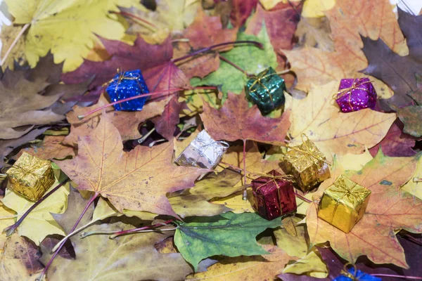 Amo Abstração Folhas Outono Com Alguns Elementos Decorativos — Fotografia de Stock