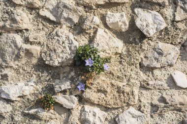 Taş dokusu. Taş malzemelerden yapılmış arka plan.