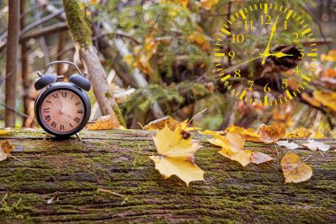 Sonbahar manzara soyutlama. Zamanı geri düşmek. Yaz saati.