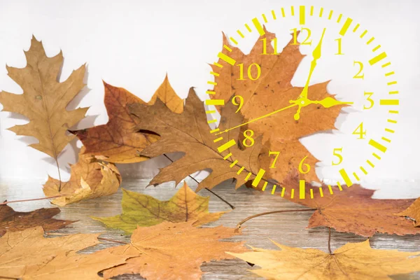 Herfst Landschap Abstractie Val Terug Tijd Daylight Saving Time — Stockfoto