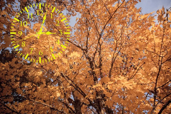 秋の風景の抽象化です 秋の時間を戻す 夏時間 — ストック写真