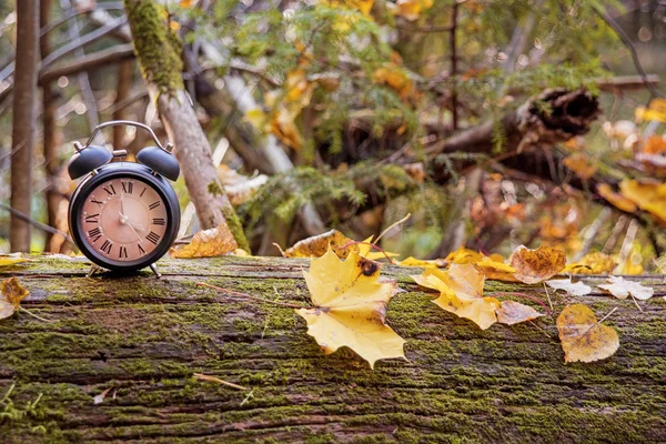 Reloj Despertador Negro Vintage Hojas Otoño Cambio Hora Foto Abstracta — Foto de Stock