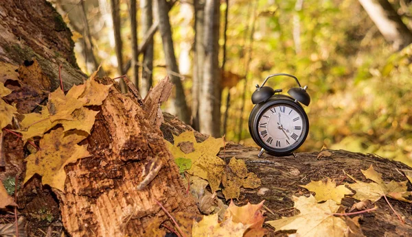 Sonbahar yaprakları üzerinde Vintage siyah çalar saat. Zaman değişim soyut fotoğraf.