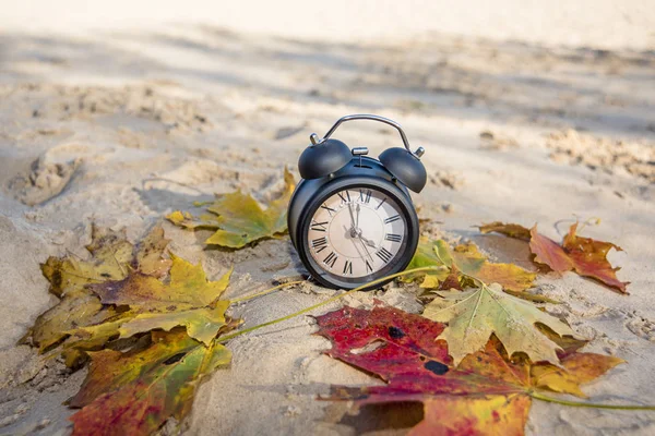 Reloj despertador negro vintage en hojas de otoño. Cambio de hora foto abstracta . —  Fotos de Stock