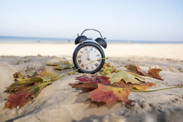 秋の紅葉にビンテージの黒い目覚まし時計 時間変更の抽象的な写真 夏時間 — ストック写真