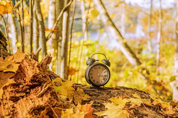 Abstracción Del Paisaje Otoñal Retrocede Tiempo Horario Verano — Foto de Stock