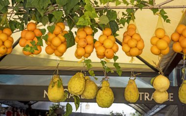 Taze Sicilya portakal ve limon. İtalyan meyve pazarı.