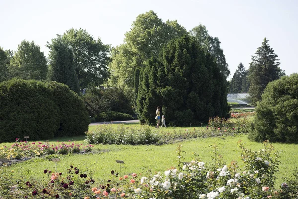 Salaspils ciudad, Letonia Jardín Botánico naturaleza paisajes. 2019 . — Foto de Stock
