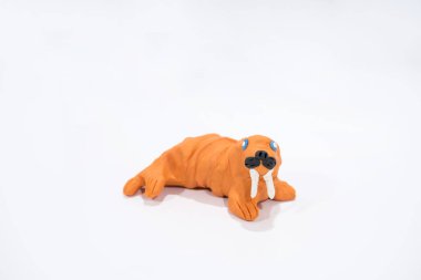 Plasticine sanat. El yapımı Walrus.
