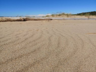 Rüzgarlı Baltık Denizi. Güneşli bir yaz günü. Baltık Denizi kıyıları.