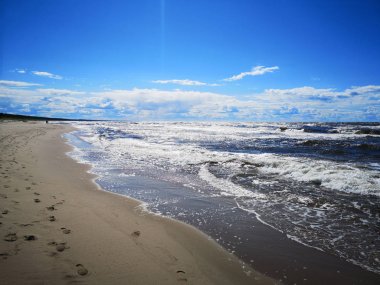 Rüzgarlı Baltık Denizi. Güneşli bir yaz günü. Baltık Denizi kıyıları.