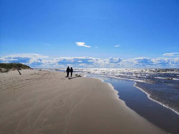 Blåsigt Östersjön. Solig sommardag. Östersjökusten. — Stockfoto