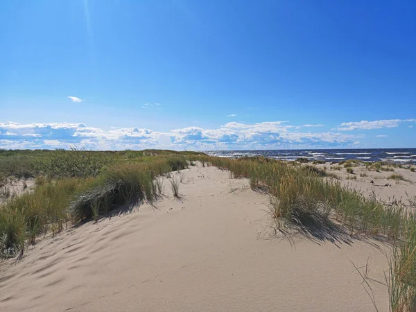 Windige Ostsee. Sonniger Sommertag. Ostseeküste. — Stockfoto