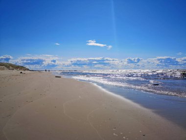 Rüzgarlı Baltık Denizi. Güneşli bir yaz günü. Baltık Denizi kıyıları.