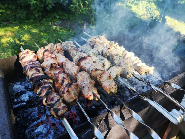 Grelhar shashlik na churrasqueira. Dia de verão ensolarado . — Fotografia de Stock