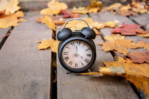 Reloj despertador negro vintage en hojas de otoño. Cambio de hora foto abstracta . —  Fotos de Stock