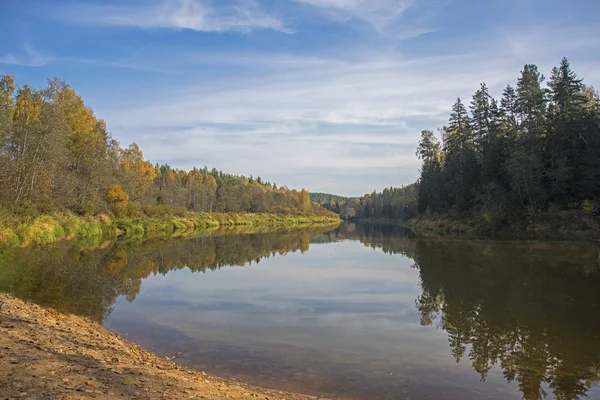 Automne forêt lac reflet paysage sur ensoleillé jour d'automne. Paysage d'automne réaliste . — Photo