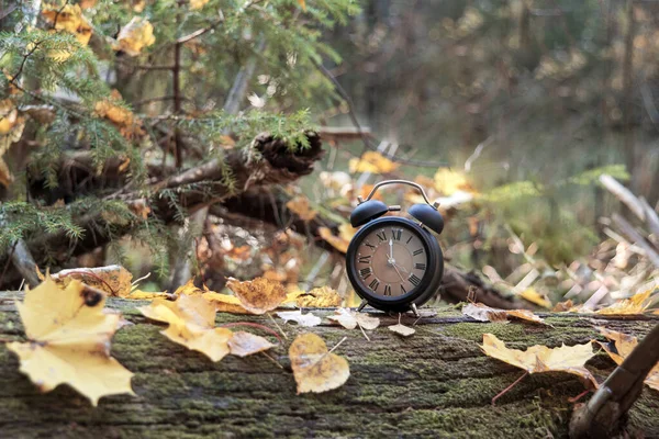 Horario de verano. Reloj de pared va a la hora de invierno. Abstracción otoñal. Retroceder el tiempo . — Foto de Stock