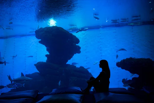 Frauensilhouette Vor Einem Großen Aquarium Dunkelblaues Foto Mit Meeresfischen — Stockfoto