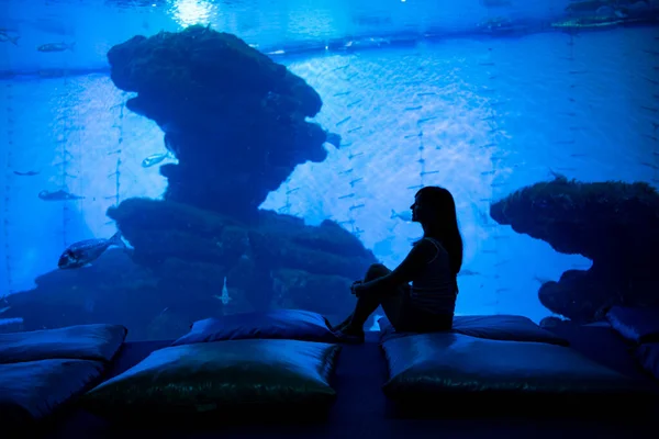 Kobieca Sylwetka Przed Wielkim Akwarium Ciemnoniebieskie Zdjęcie Rybami Morskimi — Zdjęcie stockowe