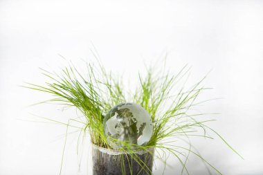 Yeşil çimenlikteki küçük Dünya cam küresi. Soyut fotoğraf.