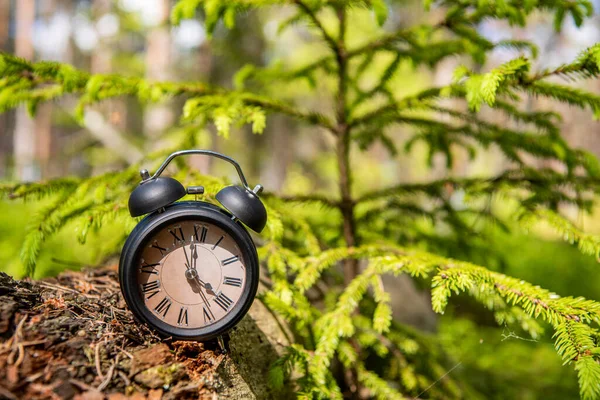 Reloj Despertador Retro Bosque Verde Foto Abstracta Del Tiempo —  Fotos de Stock