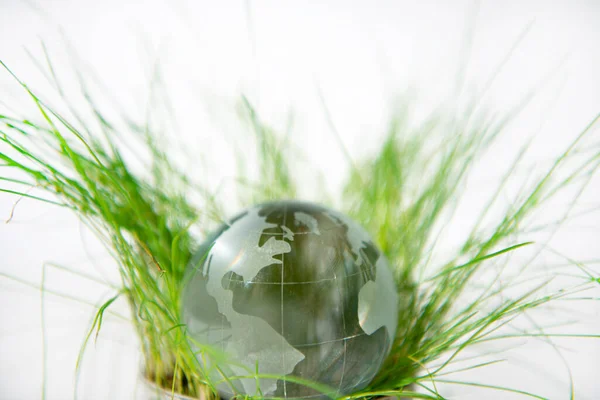 Small Earth glass ball in green grass. Abstract photo.