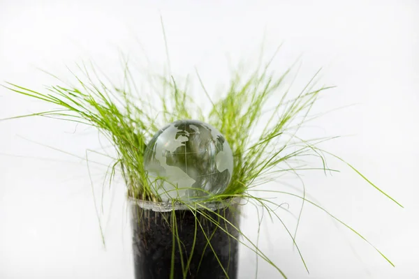 Kleine Glaskugel Aus Erde Grünen Gras Abstraktes Foto Stockfoto