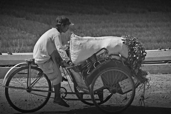 Men Bike Green Fields Background Stock Photo