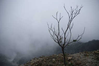 Tangkuban Perahu Bandung, Endonezya krater