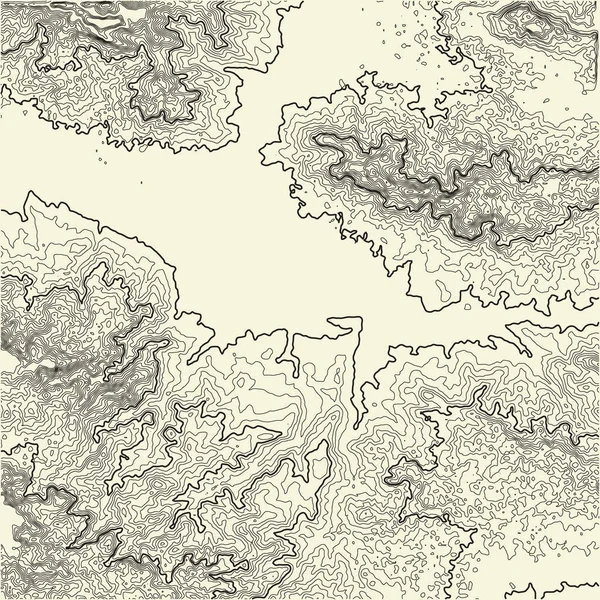 Kartenlinie Der Topographie Vektor Abstraktes Topografisches Kartenkonzept Mit Platz Für — Stockvektor