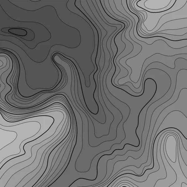 Ligne Topographie Cartographique Concept Carte Topographique Abstraite Vectorielle Avec Espace — Image vectorielle