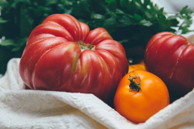 Kırmızı ve sarı domates ve yeşillik ile tuval Eko dostu bakkal çantası. Yerel pazar sebze