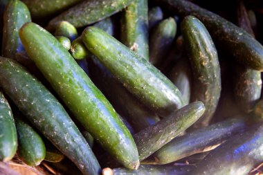 Pazarda bir avuç taze salatalık.