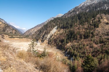 Dağlar ormanıyla kaplıdır