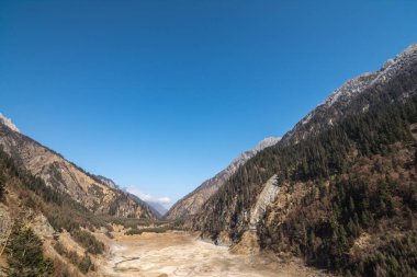 Dağlar ormanıyla kaplıdır