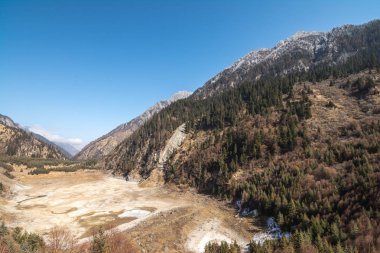 Dağlar ormanıyla kaplıdır