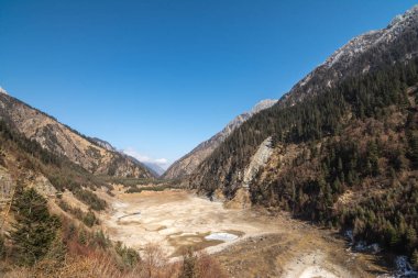 Dağlar ormanıyla kaplıdır